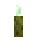 Sea Pickle