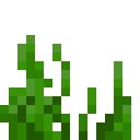 Seagrass
