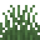 Short Grass