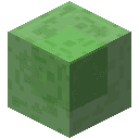 Slime Block
