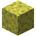 Sponge
