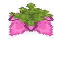 Spore Blossom