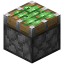 Sticky Piston