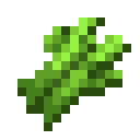 Sugar Cane