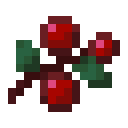 Sweet Berries