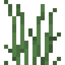 Tall Grass