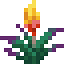 Torchflower