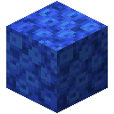 Tube Coral Block