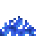 Tube Coral Fan