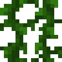 Vines