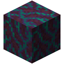 Warped Hyphae