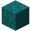 Warped Wart Block