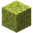 Wet Sponge