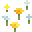 Wildflowers