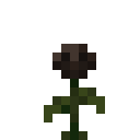 Wither Rose